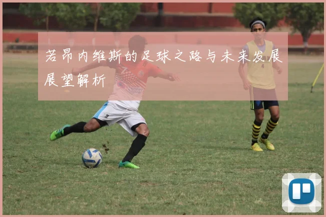 若昂内维斯的足球之路与未来发展展望解析