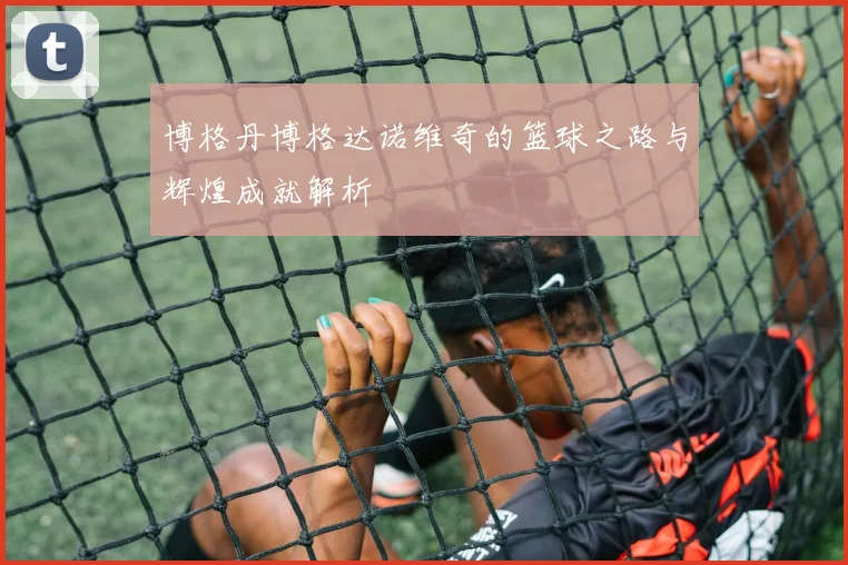 博格丹博格达诺维奇的篮球之路与辉煌成就解析