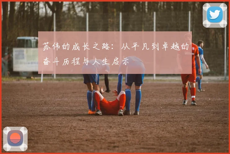 苏伟的成长之路：从平凡到卓越的奋斗历程与人生启示