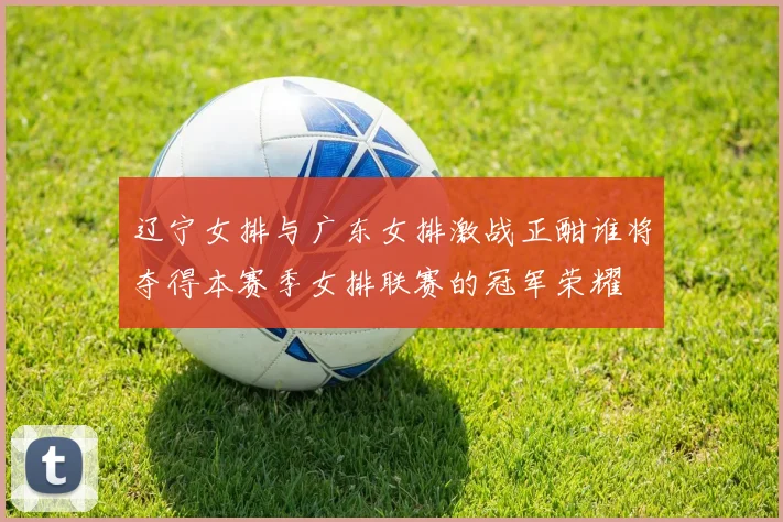 辽宁女排与广东女排激战正酣谁将夺得本赛季女排联赛的冠军荣耀